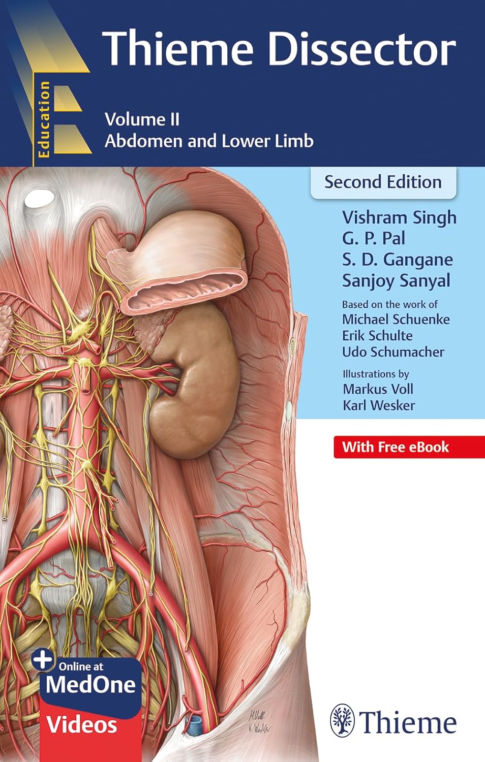 THIEME DISSECTOR ABDOMEN AND LOWER LIMB VOLUME 2 WITH ACCESS CODE 2ED (PB 2023) by  Vishram singh